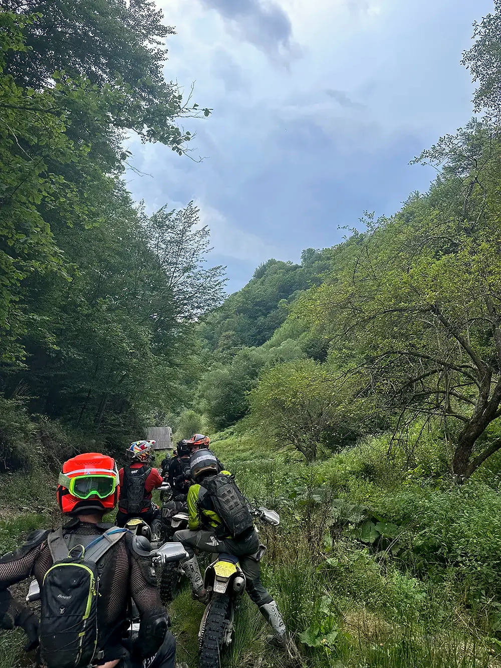 Group of riders climbing a grassy valley track toward a forested ridge in the mountains