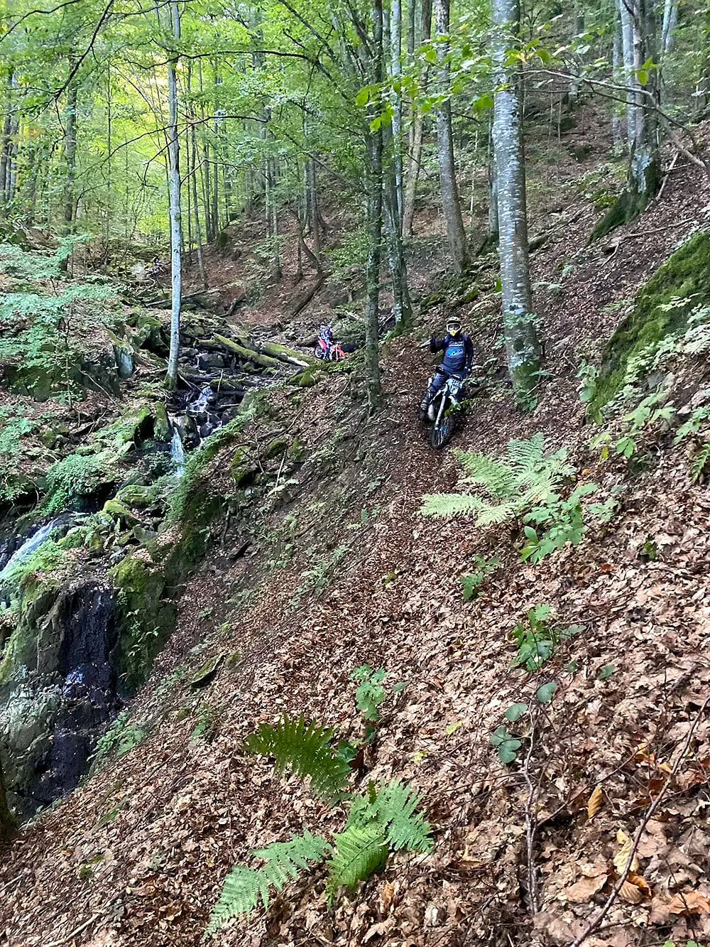 Rider on a narrow forest traverse beside a small waterfall