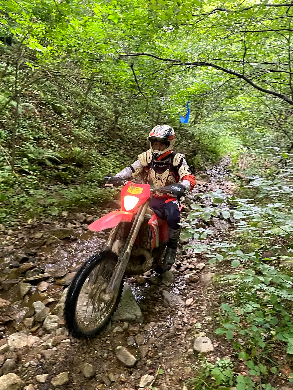 Rider climbing a wet rocky creek bed through dense forest