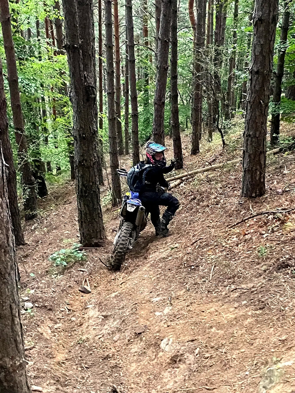 Rider on a steep pine forest climb waving to the rider behind