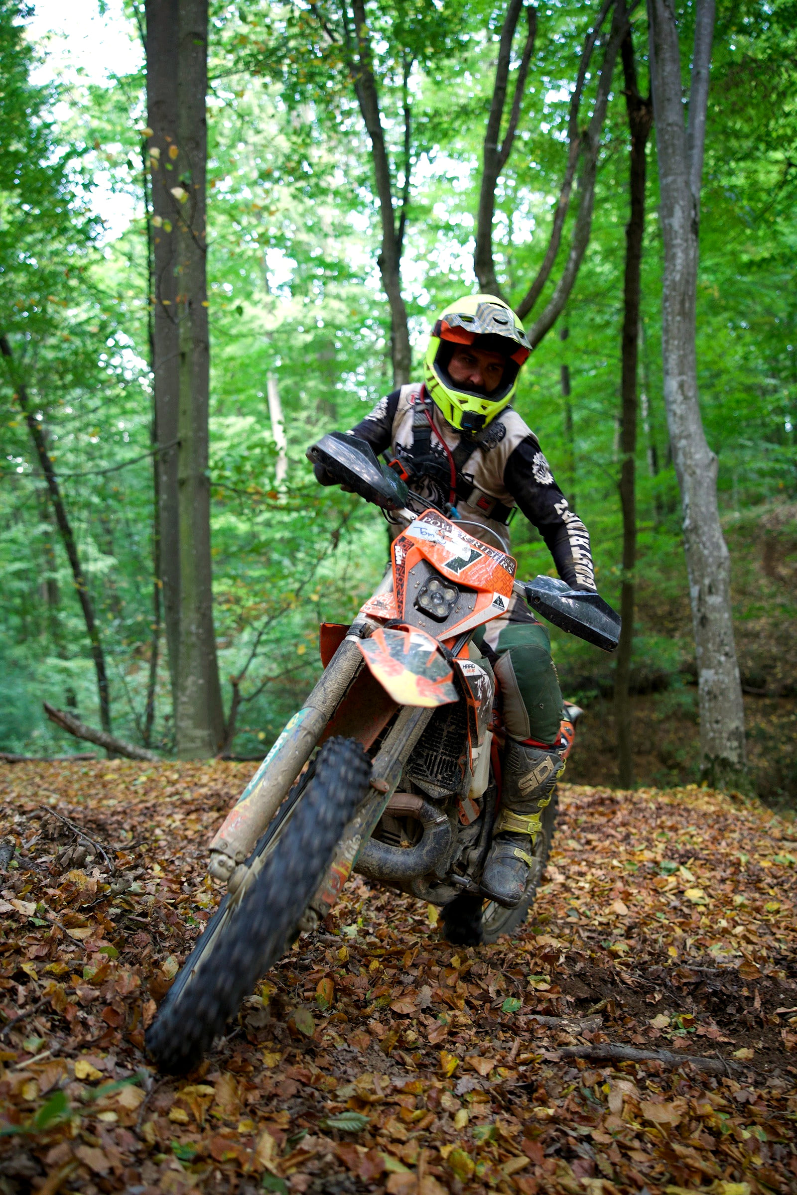 Rider on a Power Riders Tours KTM on a steep descent through beech forest