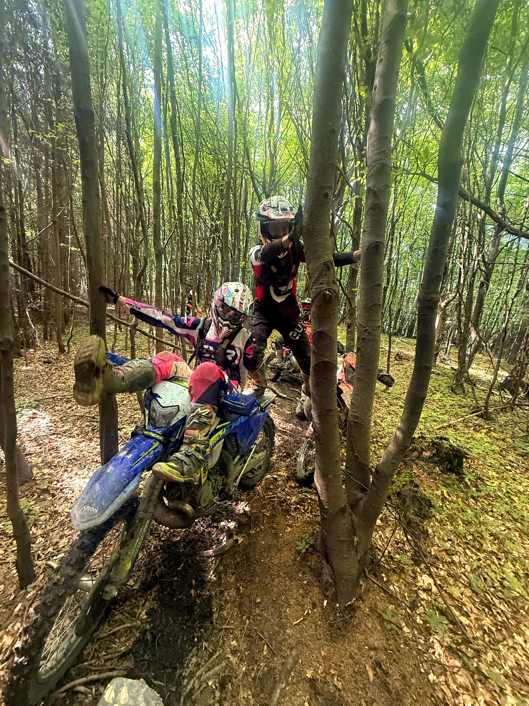 Rider working his bike up a rooty forest climb, a second bike waiting below